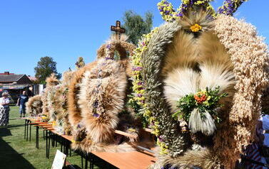 DSC_2602