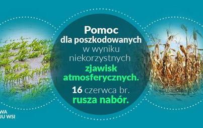 Zdjęcie do Pomoc dla poszkodowanych rolnik&oacute;w
