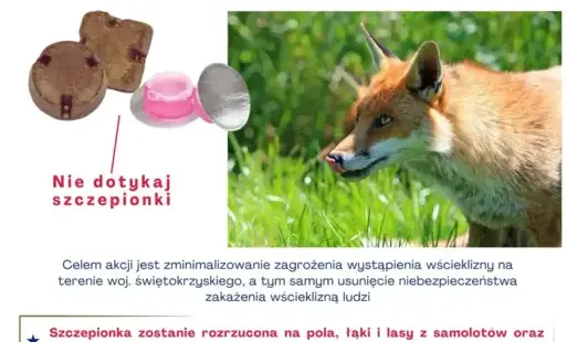 Zdjęcie artykułu z dnia 30-09-2025