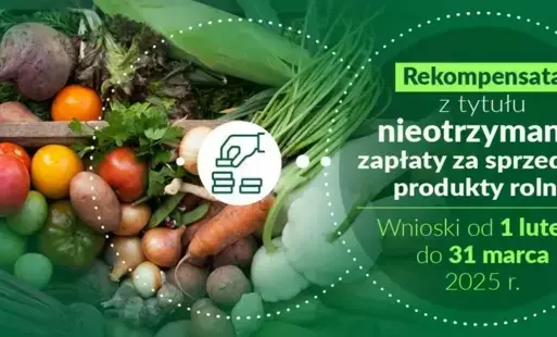 Zdjęcie do Rekompensata z tytułu nieotrzymania zapłaty za sprzedane produkty rolne &ndash; 1 lutego start naboru wniosk&oacute;w.