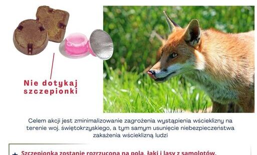 plakat informacyjny